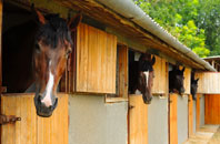 free Hawton stable construction quotes